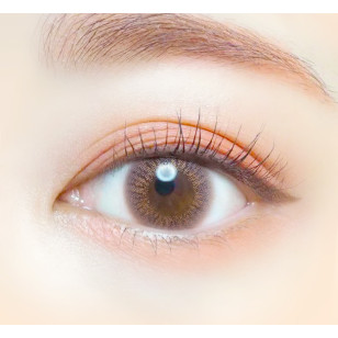 EverColor1day – LUQUAGE Modern Labeige 日拋 每盒10片